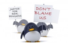 penguin2